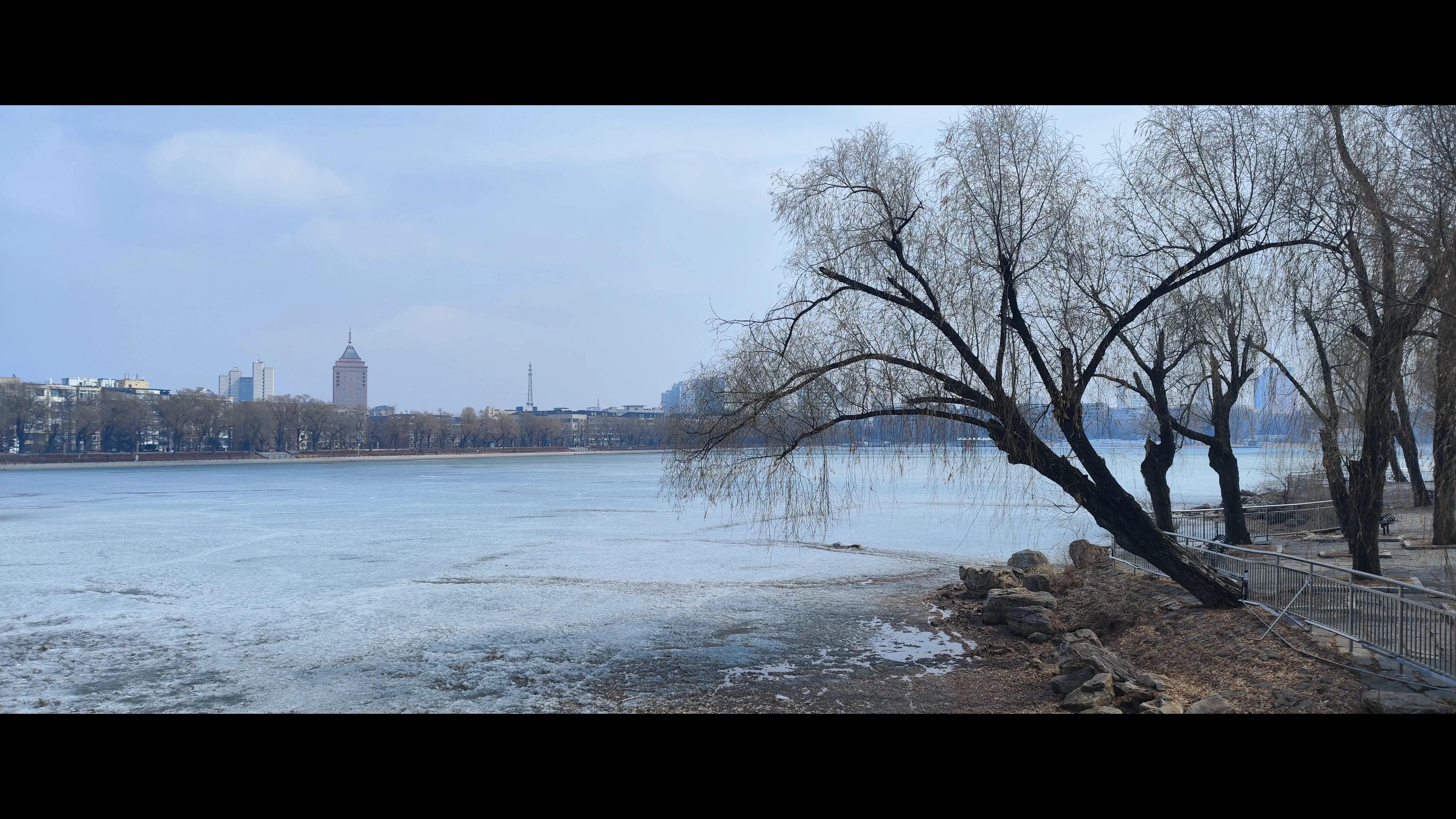 湖畔漫步——我与南湖这两年