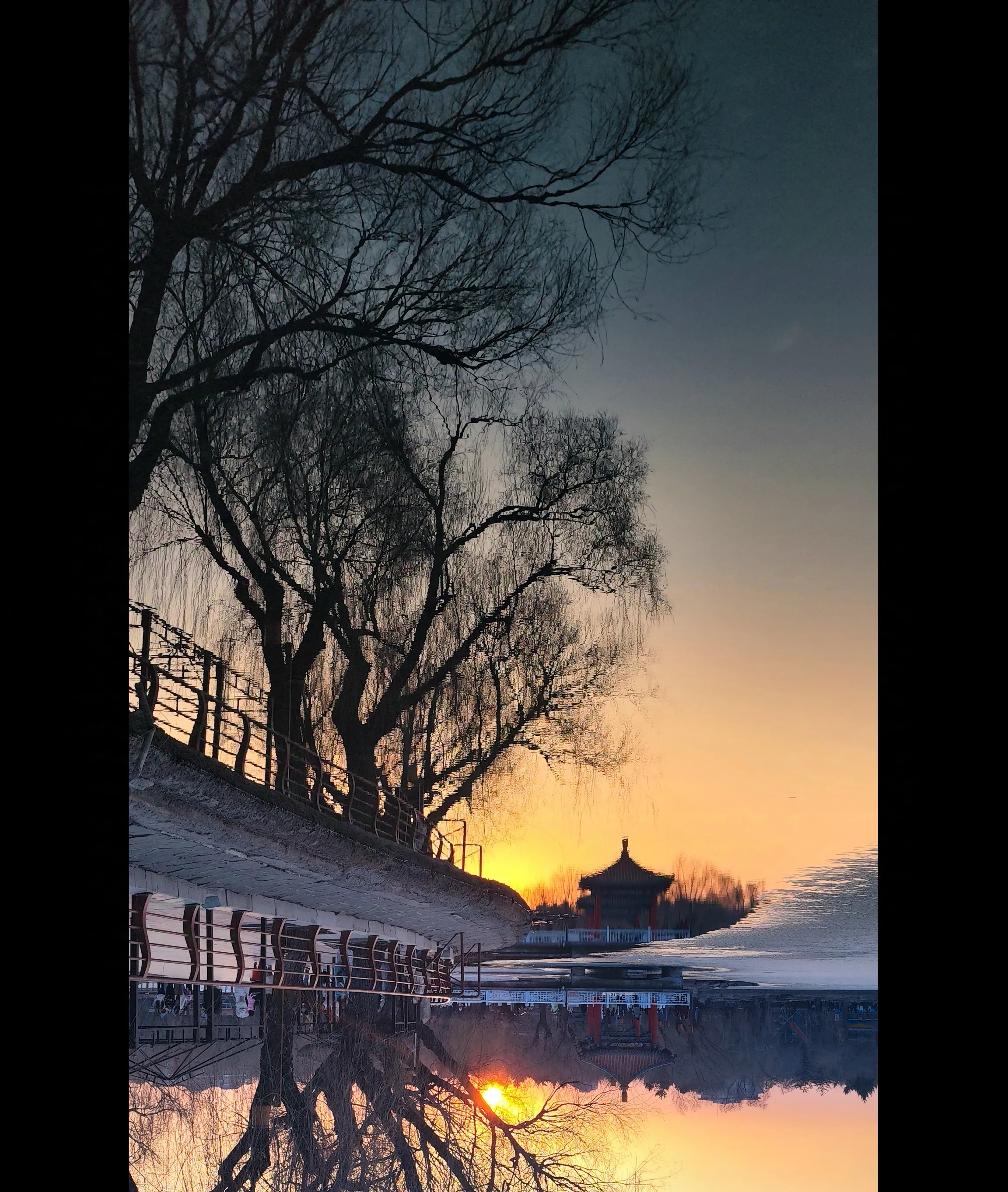 这是我最满意的一张照片,摄于2024年7月